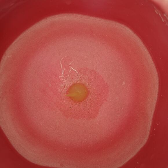 Set of 2 Pink Tulip Flameless Candles 2 AA batteries not included wax flicker - Picture 6 of 14